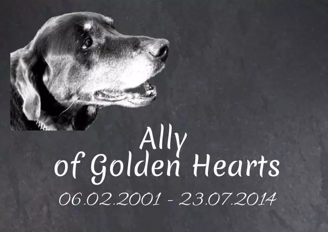 bedrucktGedenktafel Ally Bild