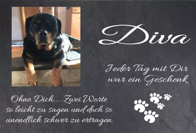 bedrucktGedenktafel Diva Bild