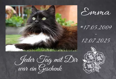 bedruckt Gedenktafel Emma Bild
