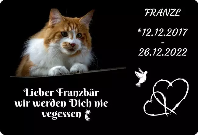 bedrucktGedenktafel Franzl Bild