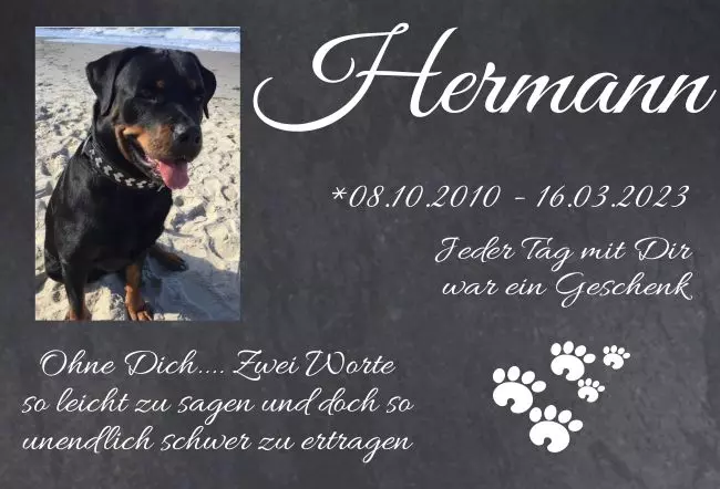 bedrucktGedenktafel Hermann Bild