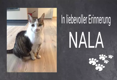 bedruckt Gedenktafel In liebevoller Erinnerung NALA Bild