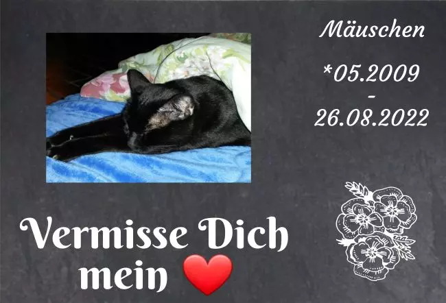 bedrucktGedenktafel Mäuschen Bild