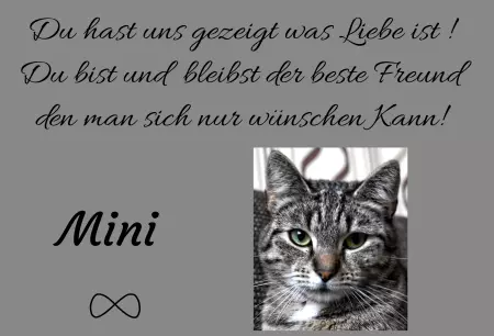 bedruckt Gedenktafel Mini Bild