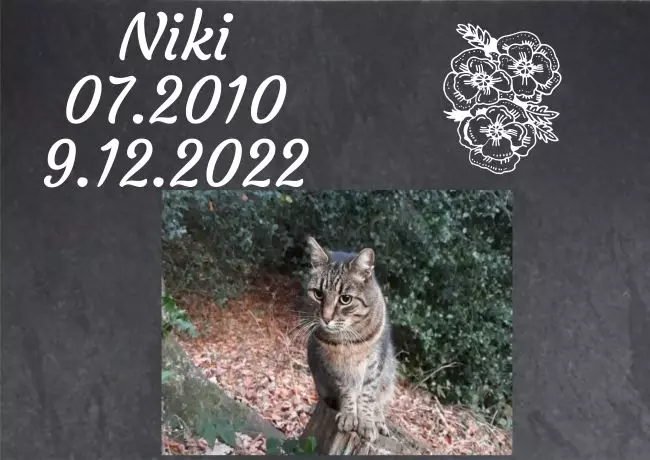 bedrucktGedenktafel Niki Bild
