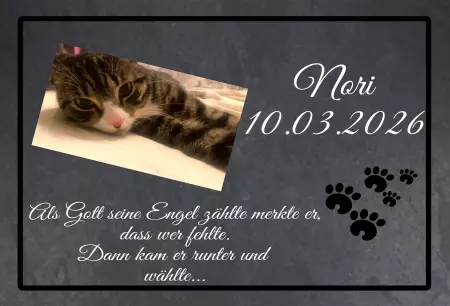 bedruckt Gedenktafel Nori Bild