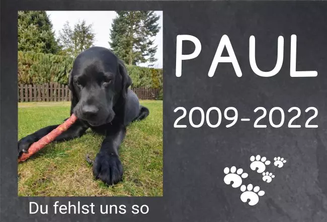 bedrucktGedenktafel Paul Bild