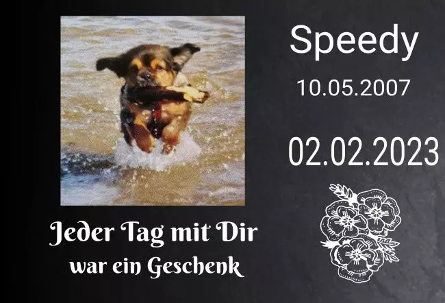 bedrucktGedenktafel Speedy Bild