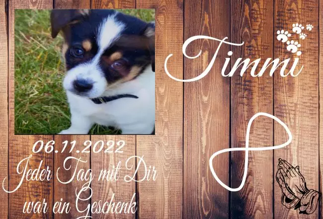 bedrucktGedenktafel Timmi Bild